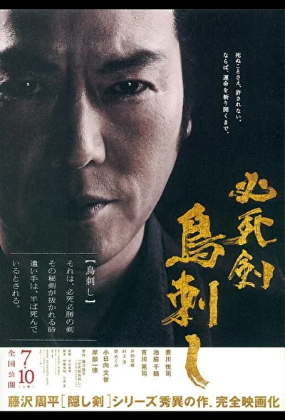 Постер к фильму Меч отчаяния (2010)