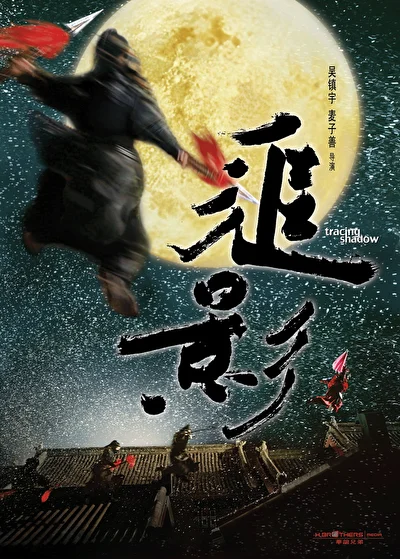 Постер к фильму В погоне за тенью (2009)